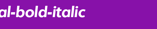 Montreal-Bold-Italic.ttf