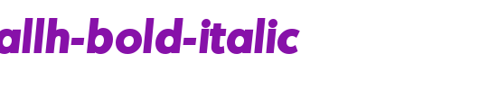 MontrealLH-Bold-Italic.ttf