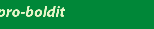 MyriadPro-BoldIt.ttf