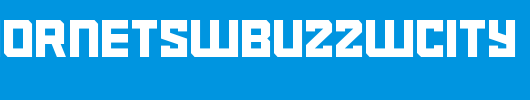 NBA-Hornets-Buzz-City.ttf