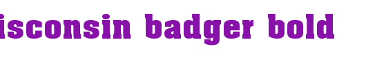 NCAA-Wisconsin-Badger-Bold.ttf