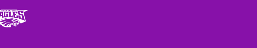 NFC.ttf