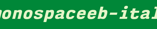 NK57MonospaceEb-Italic.ttf