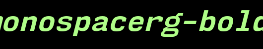 NK57MonospaceRg-BoldItalic.ttf