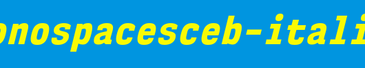 NK57MonospaceScEb-Italic.ttf
