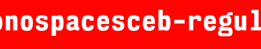 NK57MonospaceScEb-Regular.ttf