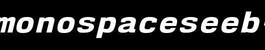 NK57MonospaceSeEb-Italic.ttf