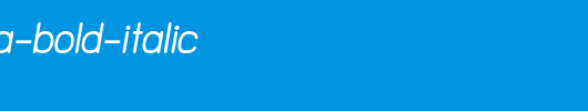 NTS-Akkhara-Bold-Italic.ttf