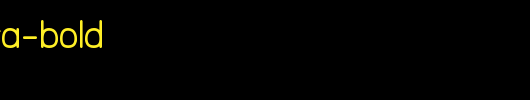 NTS-Akkhara-Bold.ttf