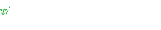 Nano-Script-SSi.ttf