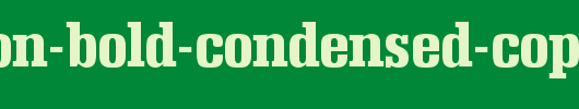 Napoleon-Bold-Condensed-copy-1-.ttf