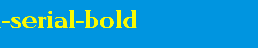 Nevada-Serial-Bold.ttf