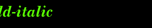 New-Bold-Italic.ttf