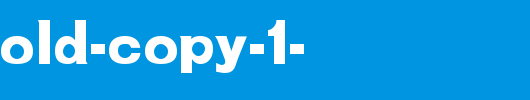 New-Bold-copy-1-.ttf