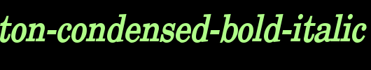 New-Boston-Condensed-Bold-Italic.ttf