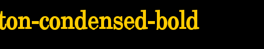 New-Boston-Condensed-Bold.ttf