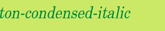 New-Boston-Condensed-Italic.ttf