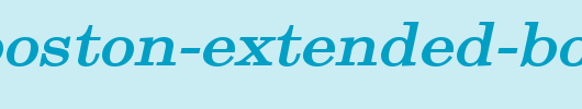 New-Boston-Extended-Bold-Italic.ttf