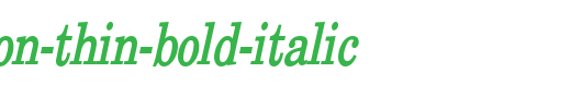 New-Boston-Thin-Bold-Italic.ttf
