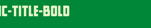 New-Comic-Title-Bold.ttf