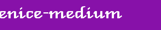 New-Venice-Medium.ttf