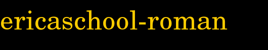 NewAmericaSchool-Roman.ttf