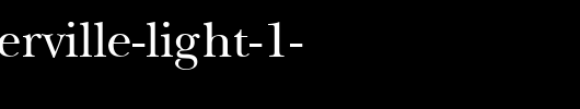 NewBaskerville-Light-1-.ttf