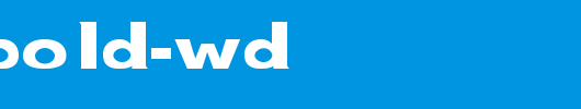 NewBold-Wd.ttf