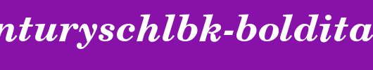 NewCenturySchlbk-BoldItalic.ttf