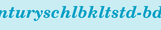 NewCenturySchlbkLTStd-BdIt.ttf