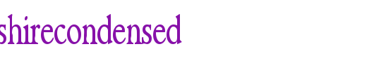 NewHampshireCondensed.ttf