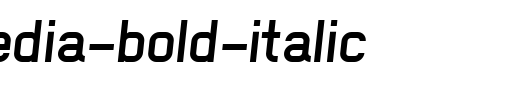 NewMedia-Bold-Italic.ttf