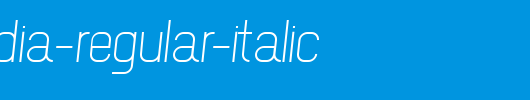 NewMedia-Regular-Italic.ttf