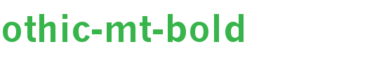 News-Gothic-MT-Bold.ttf