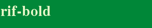 News-Serif-BOLD.ttf