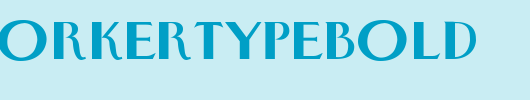 NewyorkertypeBold.ttf
