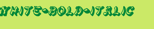 Nikon-White-Bold-Italic.ttf