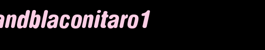 NimbusSanDBlaConItaRo1.ttf