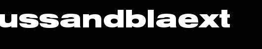 NimbusSanDBlaExt.ttf