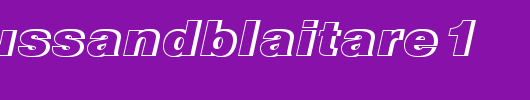 NimbusSanDBlaItaRe1.ttf