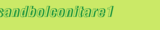 NimbusSanDBolConItaRe1.ttf