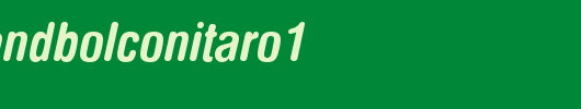 NimbusSanDBolConItaRo1.ttf