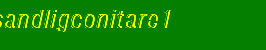 NimbusSanDLigConItaRe1.ttf