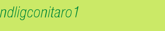NimbusSanDLigConItaRo1.ttf