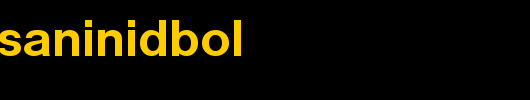 NimbusSanIniDBol.ttf