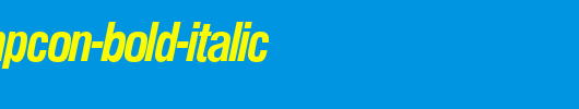NimbusSanPCon-Bold-Italic.ttf