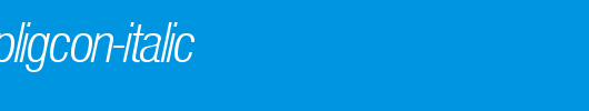 NimbusSanPLigCon-Italic.ttf