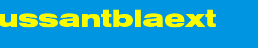 NimbusSanTBlaExt.ttf