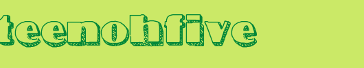 NineteenOhFive.ttf