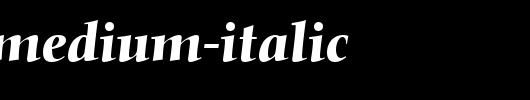 Nofret-Medium-Italic.ttf